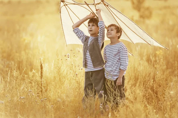 Två Pojkar Flyger Drake Sommaren Solig Dag — Stockfoto