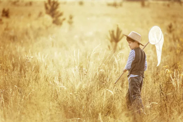 Liten Pojke Fånga Insekter Med Ett Nät Den Varma Sommardagen — Stockfoto