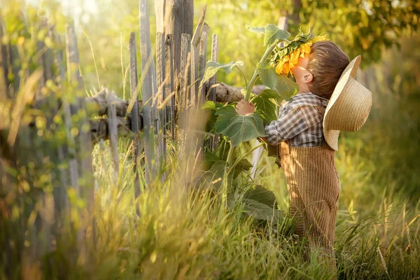 村里的小男孩在花园里的旧篱笆边闻到了葵花花的芬芳 — 图库照片
