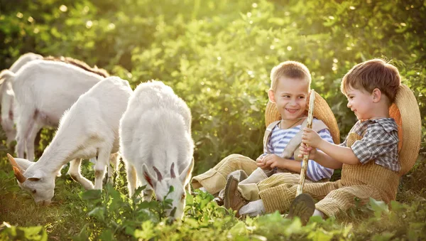 Dos Niños Pequeños Que Pastorean Cabras Las Tocan Flauta Prado —  Fotos de Stock