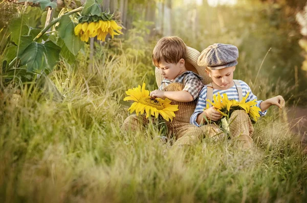 Dos Jóvenes Pueblerinos Hacen Clic Las Afueras Semilla Girasol Verano —  Fotos de Stock