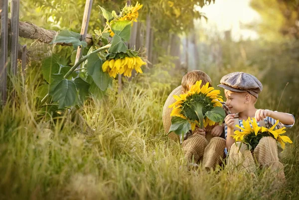 两个年轻的村童在向日葵种子夏日的阳光明媚的日子里点击 — 图库照片