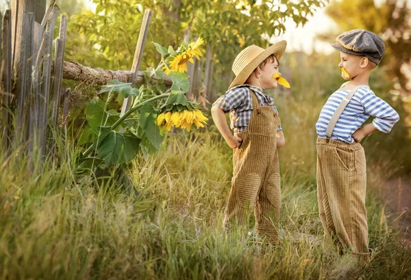 Два Мальчика Примеряют Усы Сделанные Лепестков Подсолнуха — стоковое фото