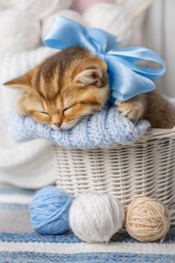 Çizgili kedi yavrusu iplik yumağıyla bir sepette uyur.