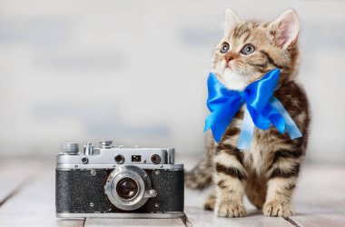Eski bir fotoğraf makinesiyle sevimli bir kedi yavrusu portresi.