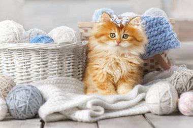 Küçük çizgili kedi yavrusu iplik yumağıyla sepette oturuyor.