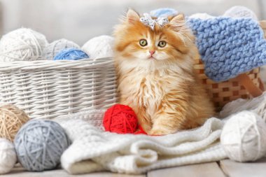 Küçük çizgili kedi yavrusu iplik yumağıyla sepette oturuyor.