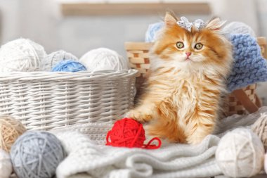 Küçük çizgili kedi yavrusu iplik yumağıyla sepette oturuyor.