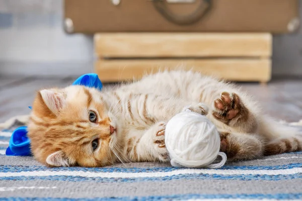 Pequeño Gatito Rayas Jugando Con Bolas Hilo — Foto de Stock