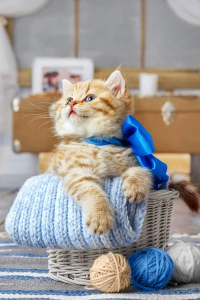 Little Striped Kitten Sitting Basket Balls Yarn — Stock Photo, Image