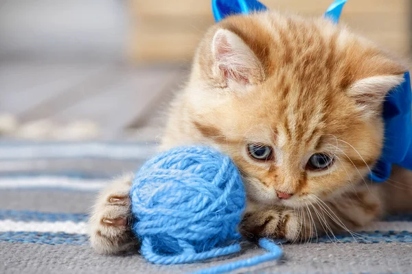 Kleine Gestreepte Kitten Spelen Met Ballen Van Garen — Stockfoto