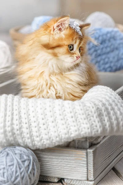 Klein Gestreept Katje Zittend Een Mandje Met Bolletjes Garen — Stockfoto