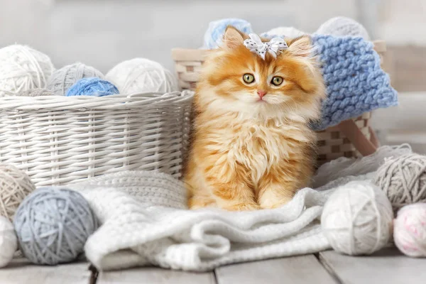 Kleines Gestreiftes Kätzchen Sitzt Einem Korb Mit Wollknäueln — Stockfoto