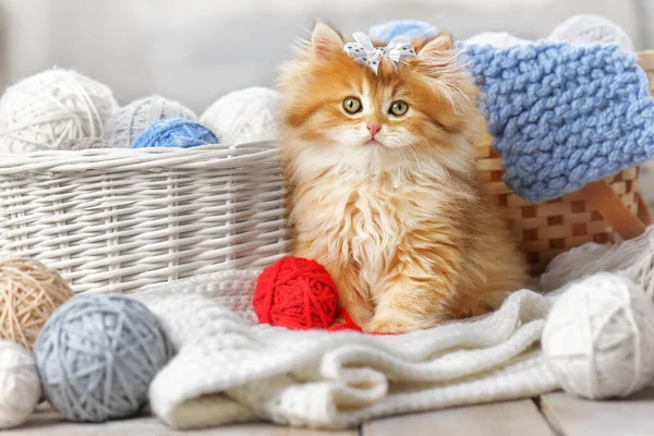一只带条纹的小猫咪坐在装有纱线球的篮子里 — 图库照片