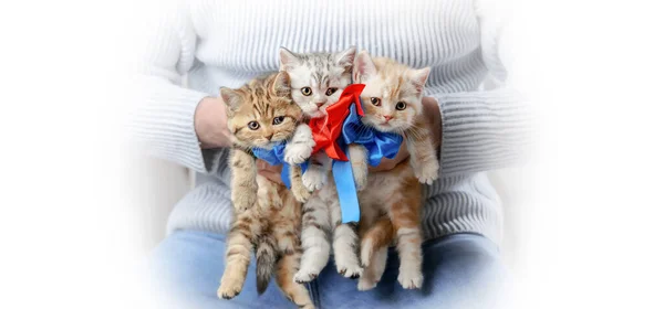 Groep Kleine Tabby Kittens Handen Van Een Man — Stockfoto