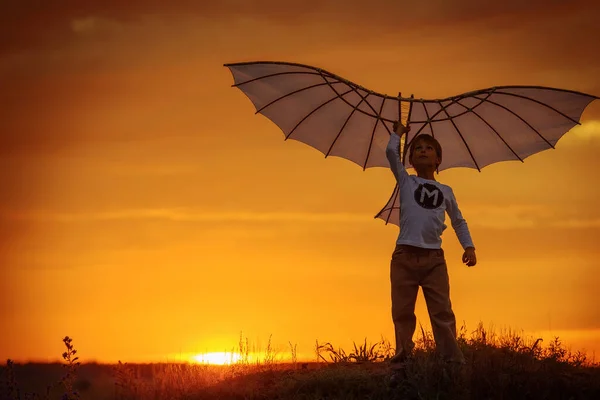 Pojken Sjösätter Drake Fältet Vid Solnedgången — Stockfoto