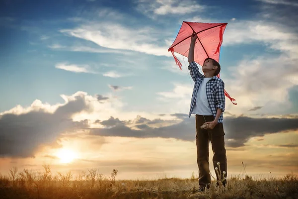 Boy Launch Kite Field Sunset — Stock Photo, Image