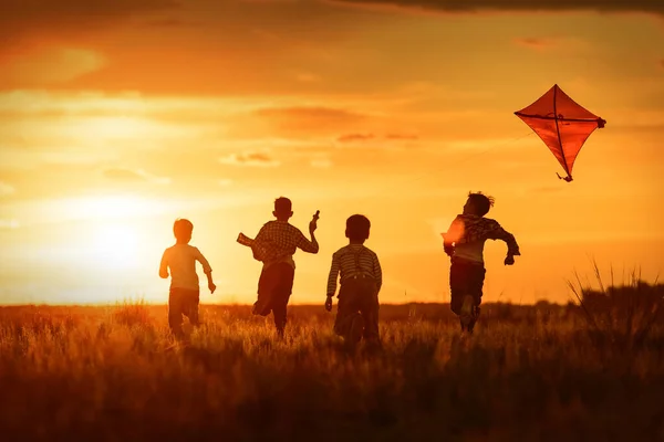 Barn Lanserar Drake Fältet Vid Solnedgången — Stockfoto
