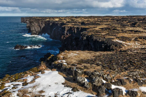 Erosion Fågel Klippa Vid Havet Island — Stockfoto