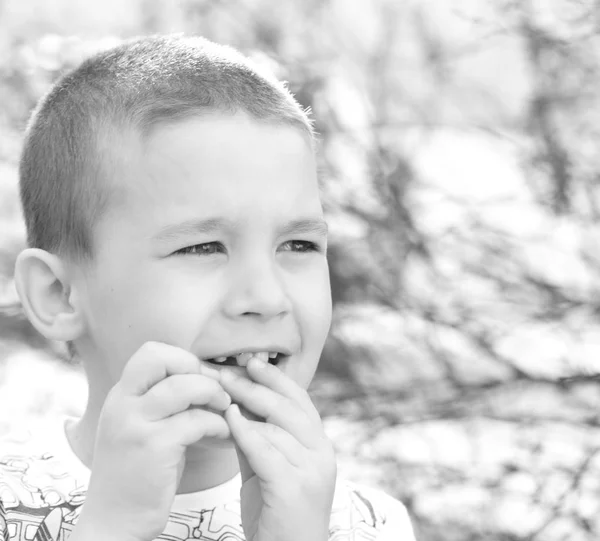 Ragazzo Sta Giocando Nel Bosco — Foto Stock