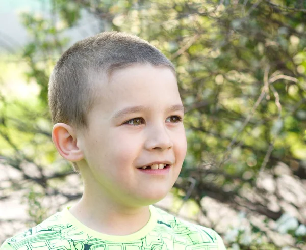 Boy Playing Wood — Stock Photo, Image