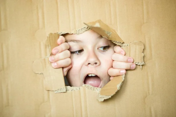 Cute Girl Holding Her Face Astonishment — Stock Photo, Image