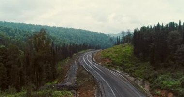 Ormanda yolda Panorama havadan görünümü. Ormanda ülke yolunda damperli hava görünümü. Birçok makine kamyonu ile Taiga 'daki drone 'dan görünüm