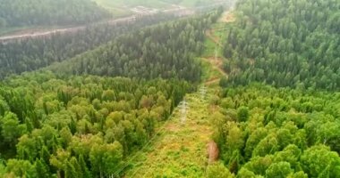 Ormanda Panorama havadan görünümü. Ormandaki ülke yolunun havadan görünümü. Taiga 'daki drone 'dan görünüm. Kırsal manzara güzel yeşil orman üzerinde uçan hava