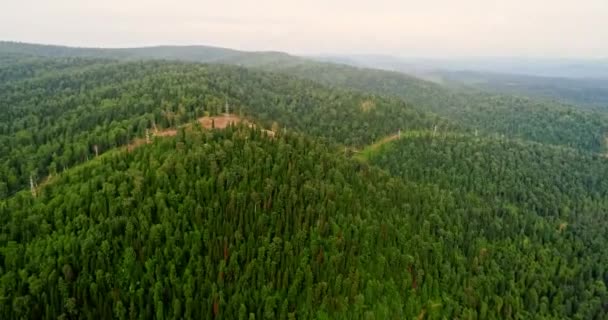 Panoráma-légi kilátás az erdőre. Országút az erdőben. Kilátás a drone a Taiga. Légi repülő felett gyönyörű zöld erdő a vidéki táj — Stock videók