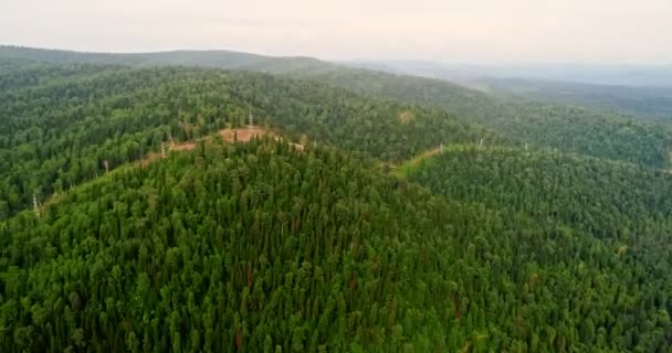 Panorama vista aérea na floresta. Vista aérea da estrada de campo na floresta. Vista do drone em Taiga. Aéreo de voar sobre bela floresta verde na paisagem rural — Vídeo de Stock