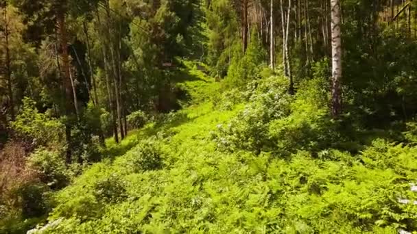 ロープウェイ上のパノラマ航空ビュー。森のチェアリフト。夏のケーブルウェイで森を通る動き。ケーブルカーを山に移動する — ストック動画