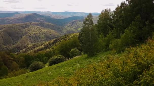 Panorámás kilátás nyílik a hegyekre és a tiszta időben nyáron — Stock videók