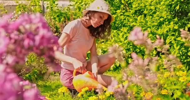 Mujer joven verano en el jardín cuida de flores, plantas. La chica de la granja se dedica a plantar. Mujer planta flores. Persona que trabaja en el jardín regando flores — Vídeos de Stock