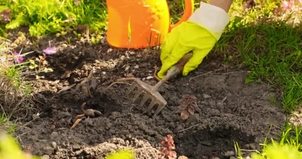 Jonge vrouw zomer in de tuin zorgt voor bloemen, planten. Het meisje op de boerderij is bezig met planten. Vrouw planten bloemen. Persoon die werkt in de tuin drenken bloemen — Stockvideo