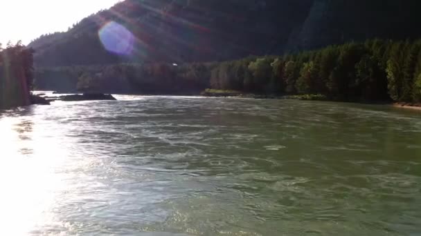 Letecké video z dronu Altai krajiny s řekou Katun a balvany na řece. Střílení z ptačí perspektivy, pohled na horskou řeku. Kamera letí nízko nad vodou. Sibiř, Rusko — Stock video