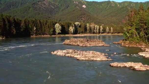Letecké video z dronu Altai krajiny s řekou Katun a balvany na řece. Střílení z ptačí perspektivy, pohled na horskou řeku. Kamera letí nízko nad vodou. Sibiř, Rusko — Stock video