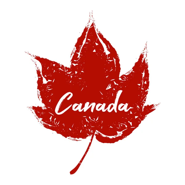 Abstract Vector Illustration Single Maple Leaf Grunge Effect Canada Day — Stock Vector