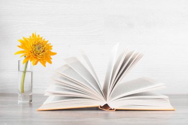 Uluslararası bilgi günü, öğretmenler günü ve eğitim kavramı. Masanın üzerinde açık bir kitap var, yanında vazoda sarı bir çiçek..