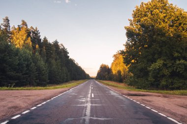 Ağaçların arasından geçen asfalt yol mesafeye gidiyor. Ağaçların tepeleri batan güneş tarafından aydınlatılır. Başarı, gelişme ve girişimler kavramı.