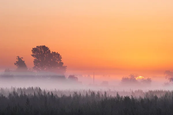 Foto Eines Nebligen Morgens Außerhalb Der Stadt Die Sonne Geht — Stockfoto