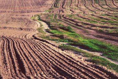 Soyut kırsal alan. Alan iki parçaya ayrılmış bir köy yolu ile bölünmüş. Bir parçası sürüldü, ikincisi hasat sırasında..