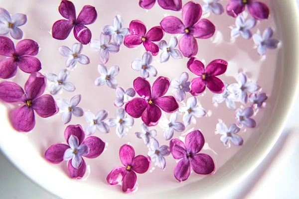 Five-pointed lilac flower among lilac flowers in a cup with water. Spa ritual. Lilac branch with a flower with 5 petals.