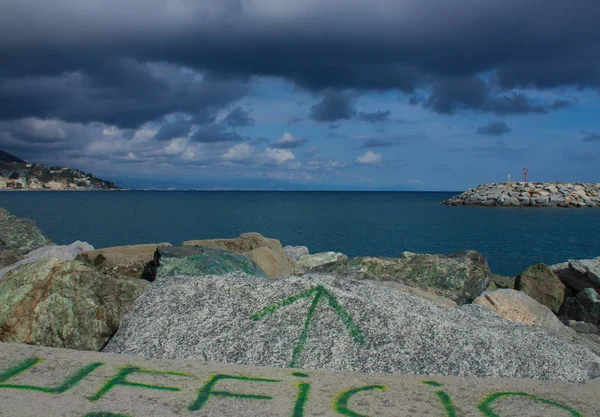 Denizde kayalar üzerinde bulunan bir olağandışı Şubesi