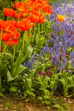 bir parkta çiçek şeritler