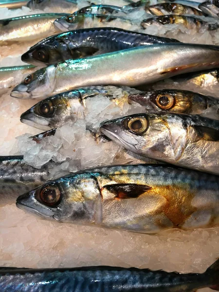 Hielo Fresco Pescado Congelado — Foto de Stock