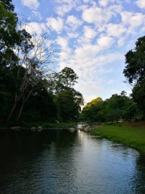 River Stick. Güzel fotoğraf çekimi.