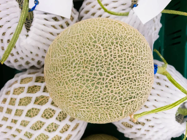 Melon Nice Photo Shoot — Stock Photo, Image