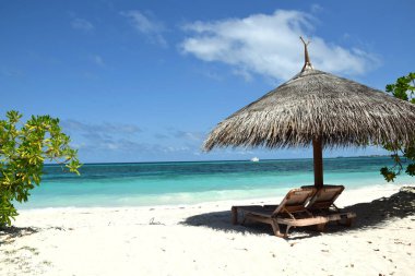 Tropikal doğa manzara. Kumlu sahilde şezlong. Güzel sahil.