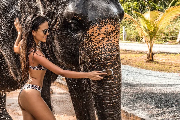 Beautiful Tourist Woman Washing Elephant Thailand — Stock Photo, Image