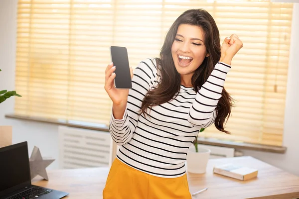 Successful businesswoman working. — Stock Photo, Image